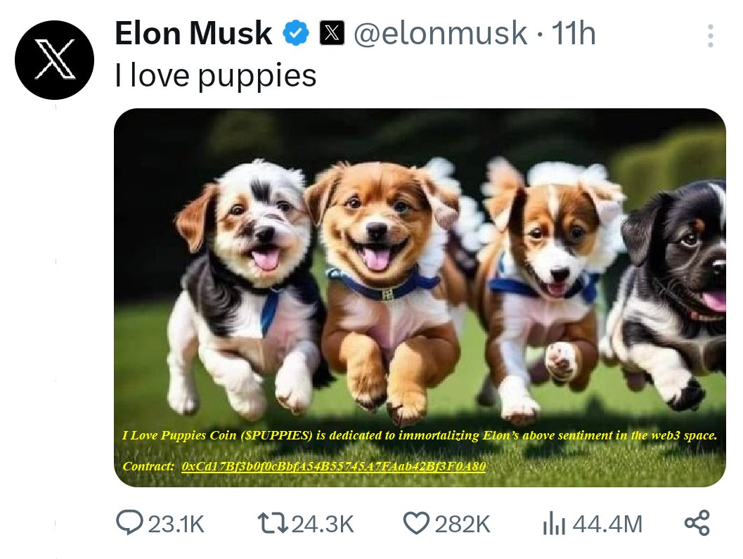 I Love Puppies Coin ($PUPPIES) (@Puppies_Elon) / Posts / X