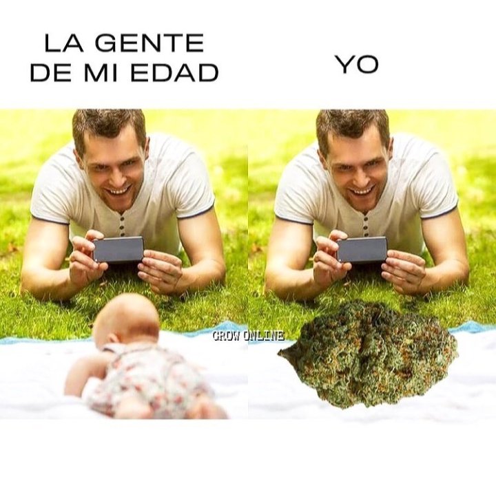 El Paragua Venenoso (@elparaguayo1231) on Twitter photo 