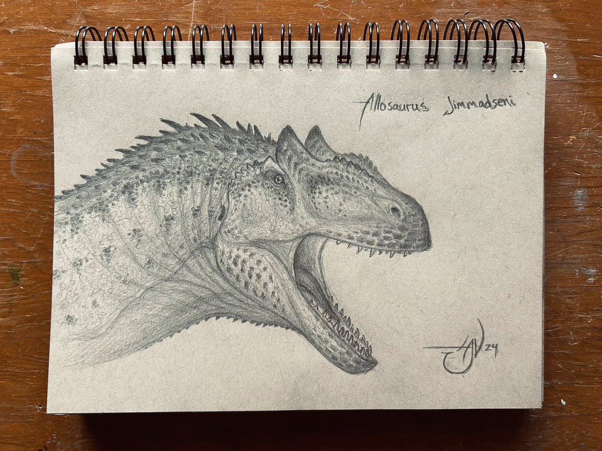 Allosaurus Jimmadseni Doodle