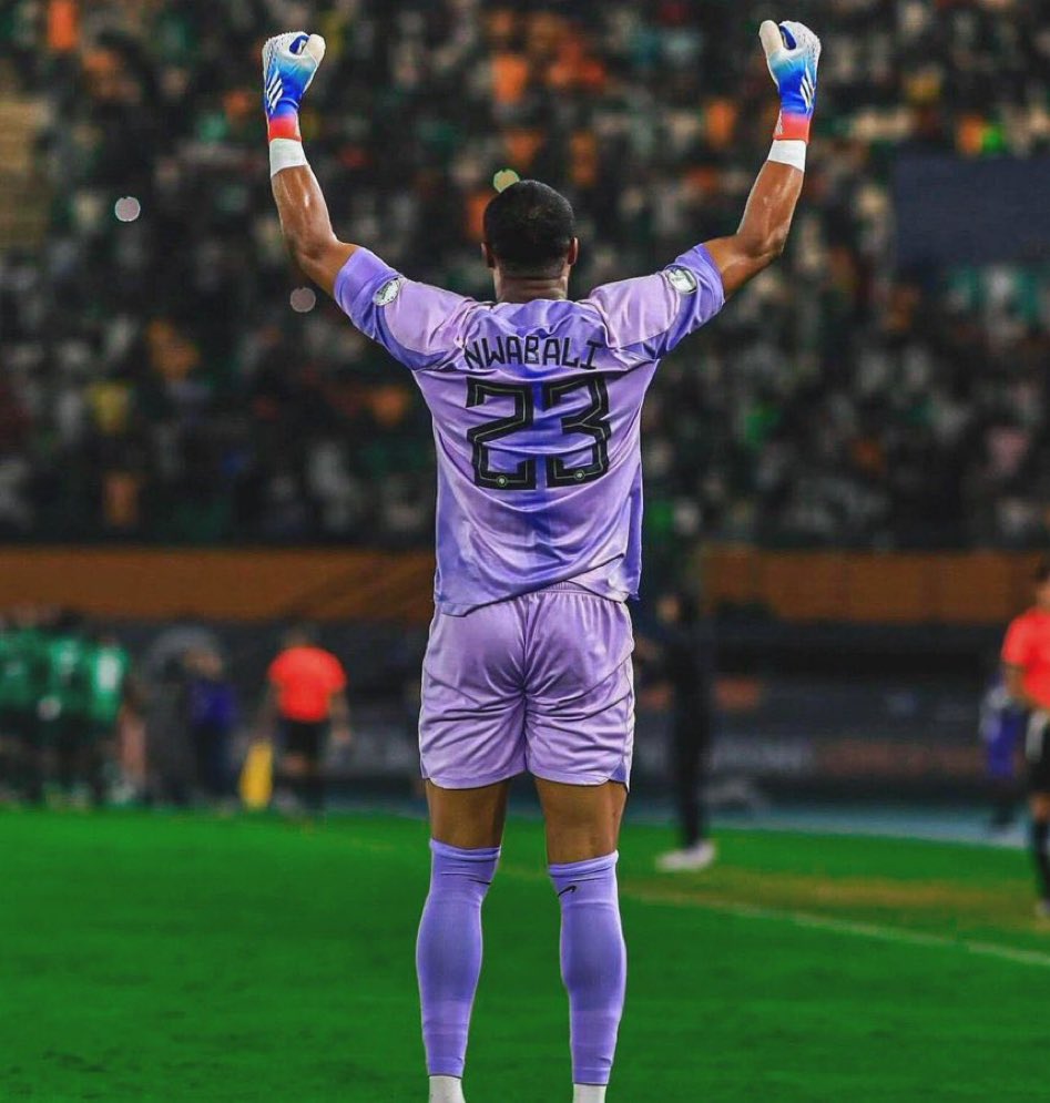 Ifeanyi05798233's tweet photo. Pay Respect to him, he played well for us ❤️
#Nwabali https://t.co/sW1Sj3vvzc