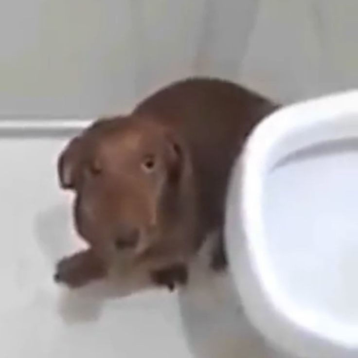 studmika's tweet image. amanhã eh meu aniversario