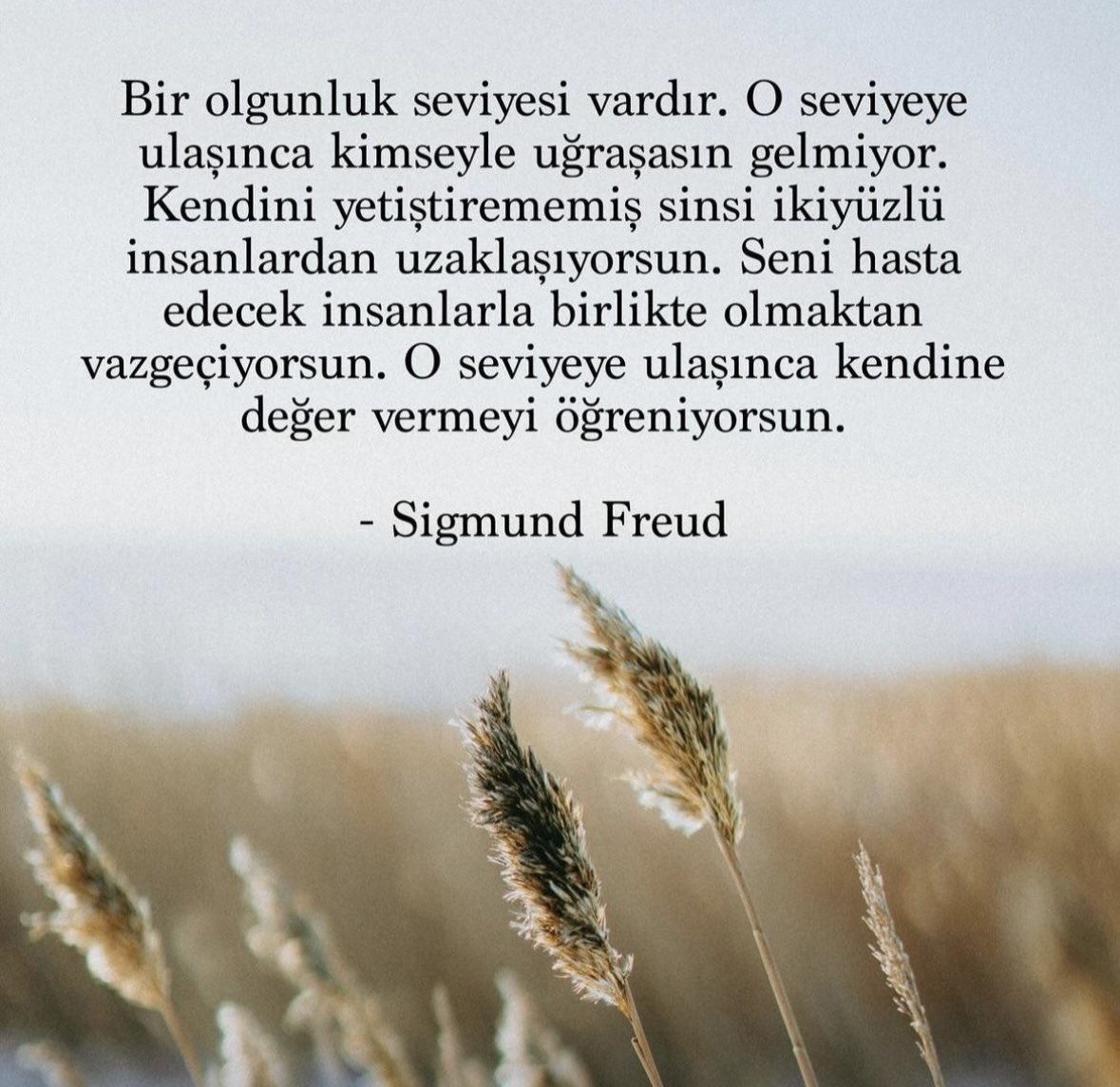 Ömer Gökçe (@gokcemirhat) on Twitter photo 