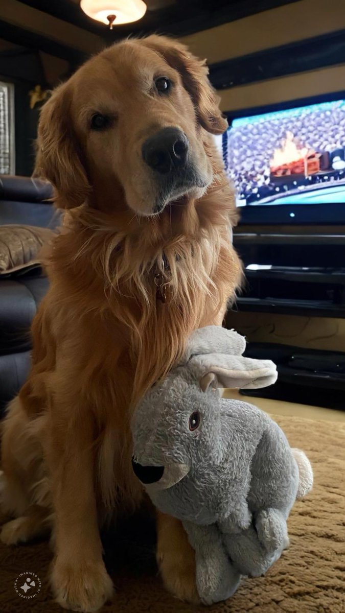 glossome's tweet photo. He won’t go for his walk until after Post Malone performs “America the Beautiful” 🏈 #postmalone #SuperBowl #SuperBowl2024 #posty https://t.co/IvGarWfRer