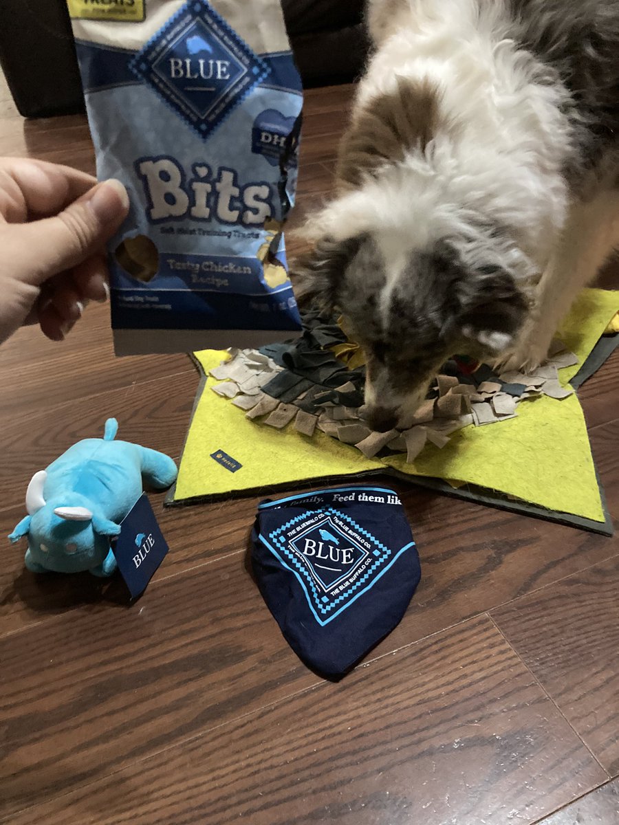 HerbieMooland's tweet image. Just enjoying a few @bluebuffalo bits!💙🦬

#snufflemat #with #snacks #bluebuffalo #bits #yum #happydog #spoileddog #dogeating #snacktime #snacktoy #snufflerug #snuffling #searching #treats #fursibling #dogtreats #hedelie
PS, Blue Buffalo, we’re missing the Buddies app already 🥲
