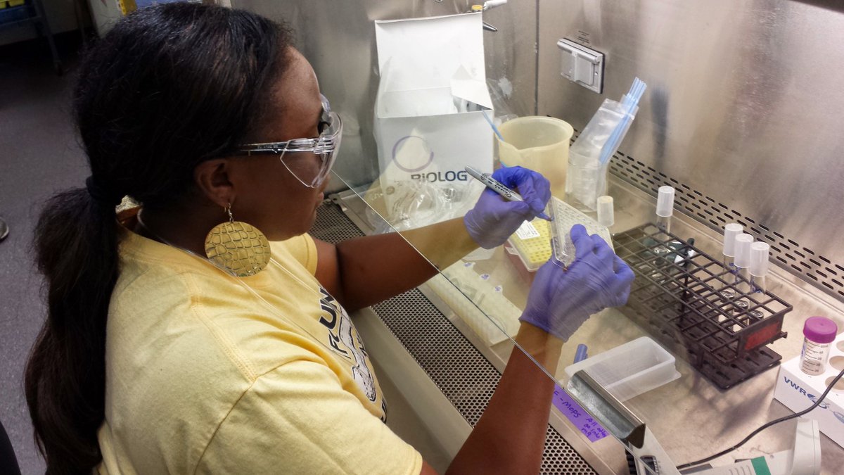 Chanda Jefferson tweet media