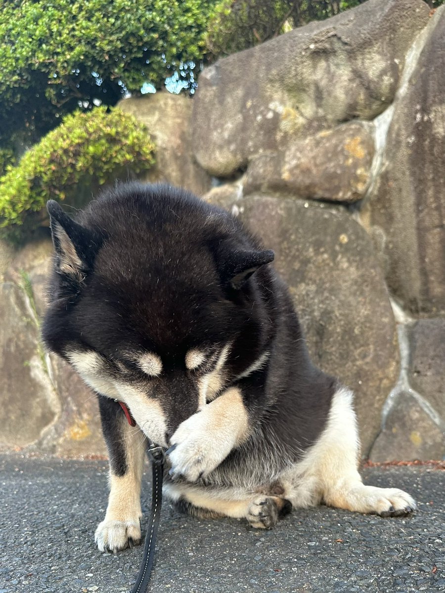 今日は月曜日！ 間違えんなよ‼︎