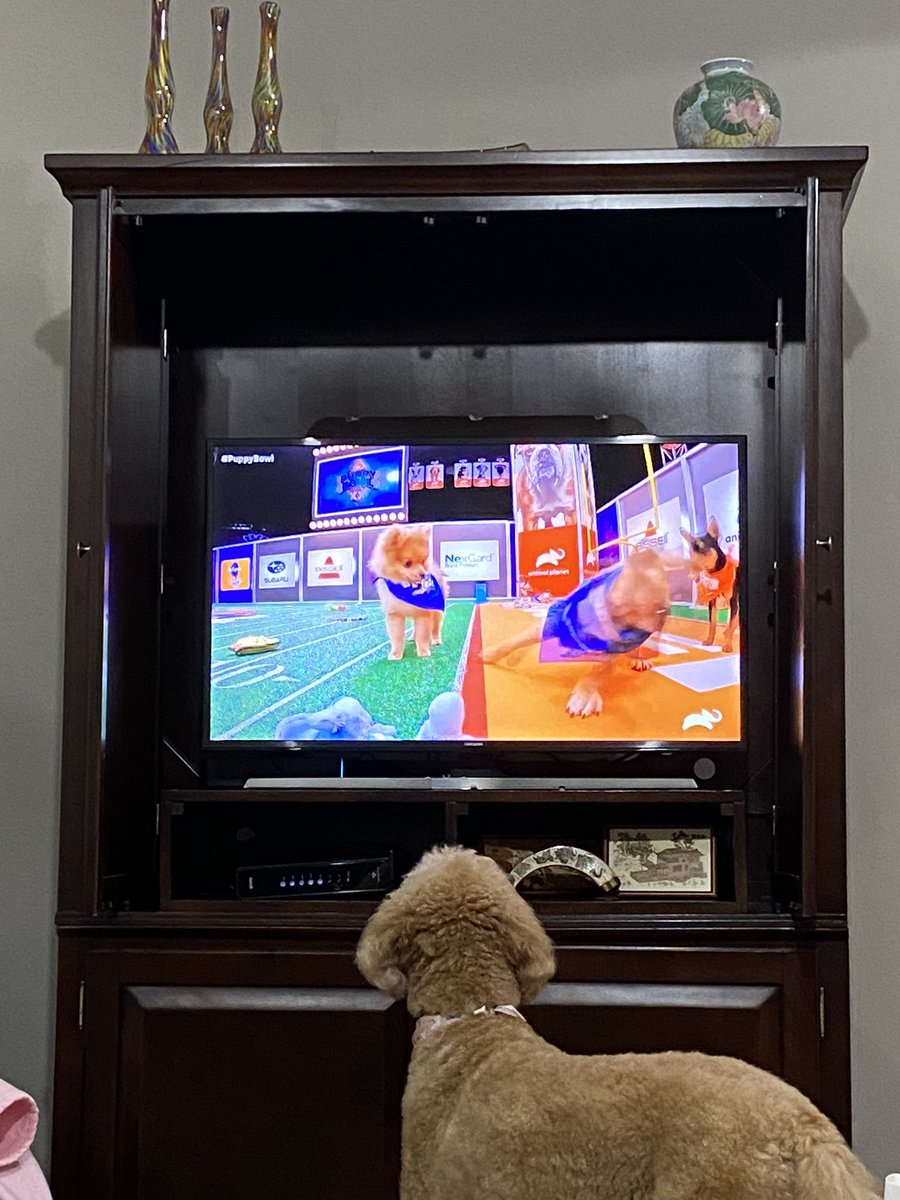 #PuppyBowlXX were just here for the toys