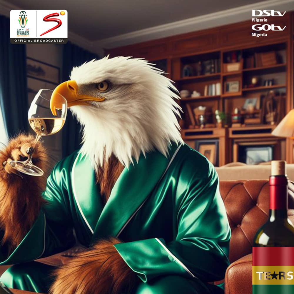 A few ruffled feathers, but we sip wine with pride, offering elephants a taste of what it means to be three-time champions of Africa. 

#afcon2023 #afconondstv #gosupereagles #afconfinals #NIGCIV
