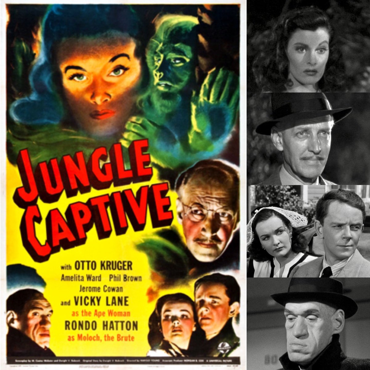 Kevin Bows 🐈🎞️🕰️ tweet media