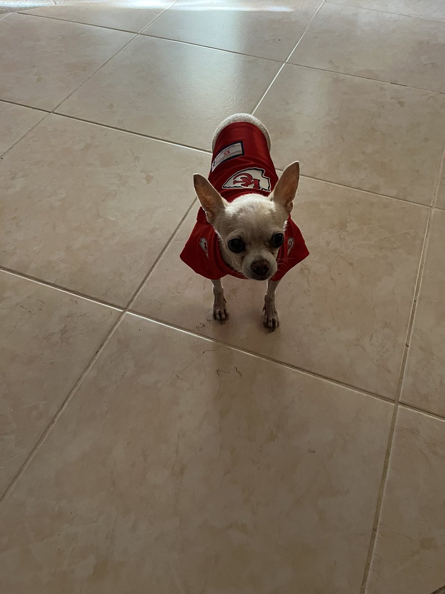 Aquí vamos con los #Chiefs #SBLVIII