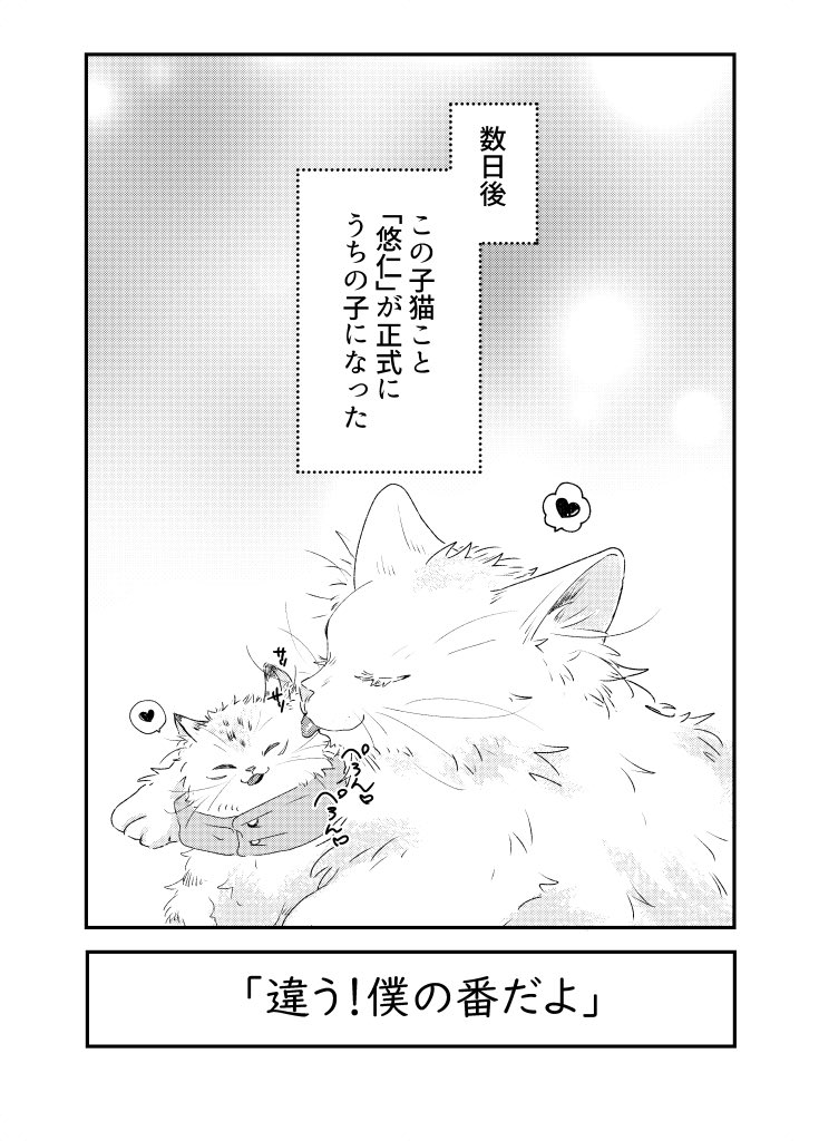 (2/2)
その後の生活とか続きはまたちょぼちょぼと描いていきたいと思います。
見てくださりありがとうございました! 
