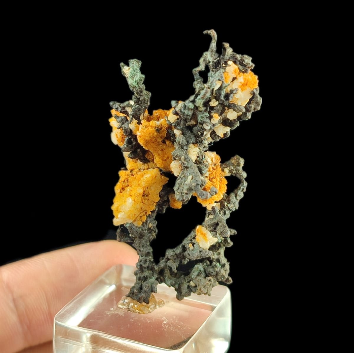 sculpture47035's tweet photo. Native copper with quartz from morocco
#crystals
#minerals
#nativecopper
https://t.co/8P3pckGdqo https://t.co/KKUjNkYOiN
