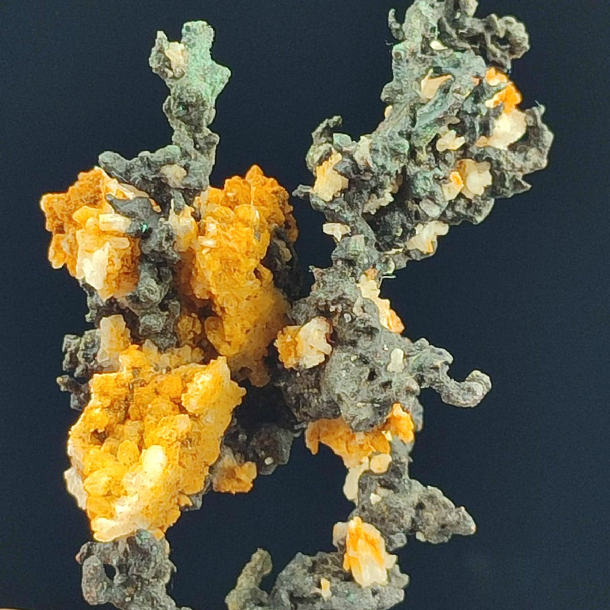 sculpture47035's tweet photo. Native copper with quartz from morocco
#crystals
#minerals
#nativecopper
https://t.co/8P3pckGdqo https://t.co/KKUjNkYOiN