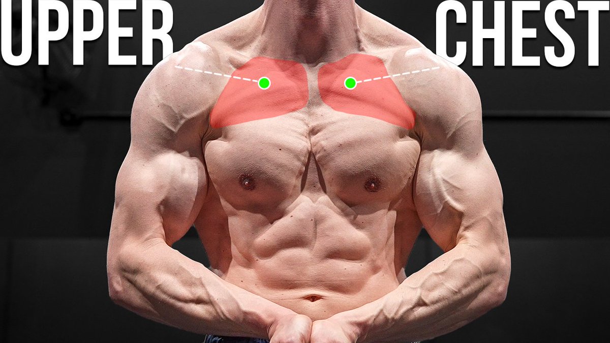 Want a bigger upper chest?
youtu.be/BeS6eOYKQ8s