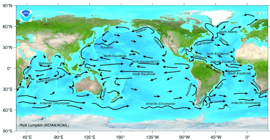theoceansneedus's tweet image. Dive into the science of ocean currents! From the Gulf Stream to the Antarctic Circumpolar Current, these powerful flows play a crucial role in regulating Earth's climate and distributing heat around the globe. 🌊🌀 #oceancurrents #ClimateSystems