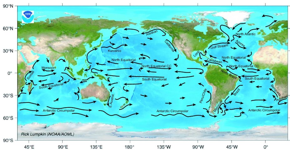 Dive into the science of ocean currents! From the Gulf Stream to the Antarctic Circumpolar Current, these powerful flows play a crucial role in regulating Earth's climate and distributing heat around the globe. 🌊🌀 #oceancurrents #ClimateSystems