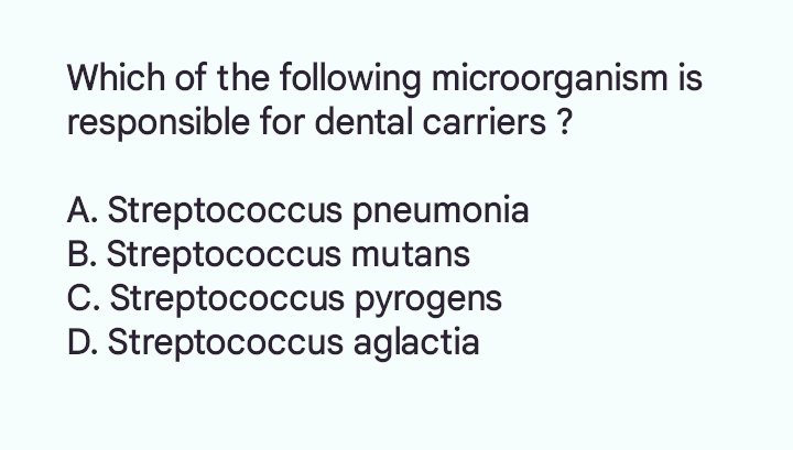 pharmahub_'s tweet photo. Which of the following microorganism is  responsible for dental carriers ? https://t.co/HIHcVQ0rYT