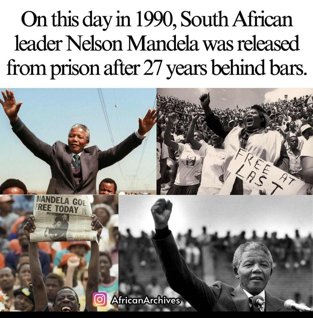 NewPlayland's tweet image. 