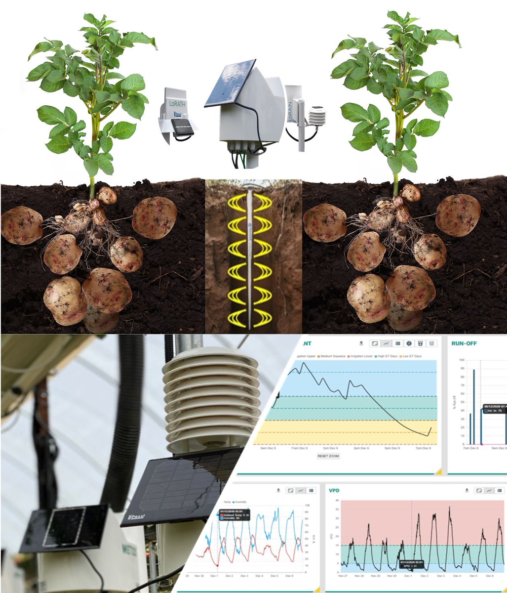 Agritech_'s tweet photo. Farming at your fingertips:

• Repeat results year after year creating blueprints for differing crops / varieties • Enhanced quality and yield
• Reduced costs – Water, Fertilizer, Electricity, Labour
• Environmentally friendly 
• Quick ROI

https://t.co/oG3sDgPlcs https://t.co/i1bo3GlWfC