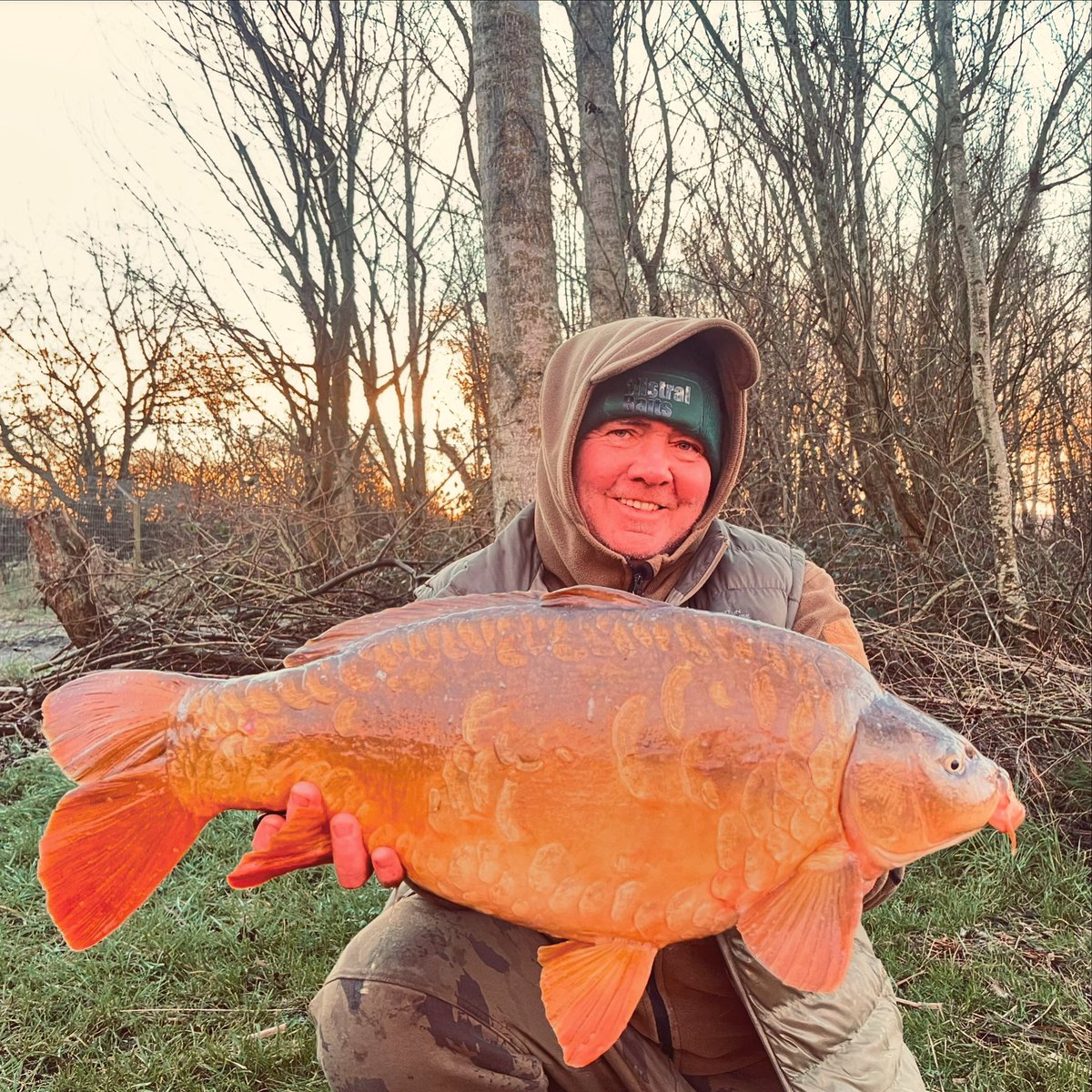 Early morning low twenty sinks into the net. Winter colours and sunrise photography. <a href="/mistralbaitsUK/">Mistral Baits</a>