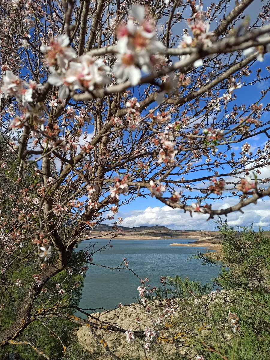 El Chorro 💚 Málaga #elchorro