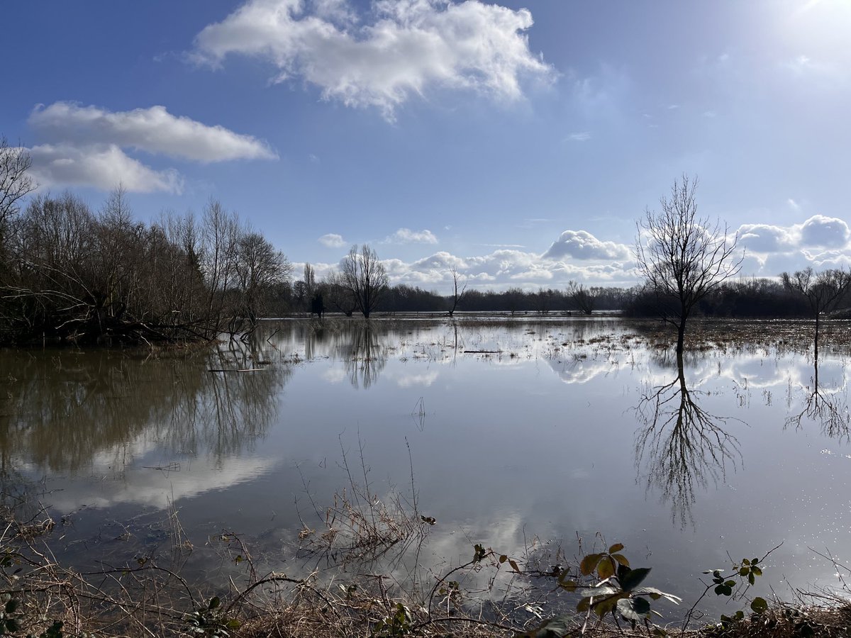 I know they’re water meadows, but I’ve never seen the Cam quite like this