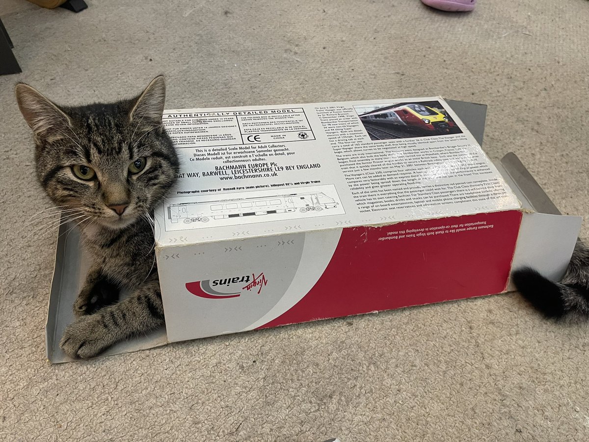 dadrail's tweet photo. #catrail! - let’s see pictures of your cats playing trains! https://t.co/xhmNm63baV
