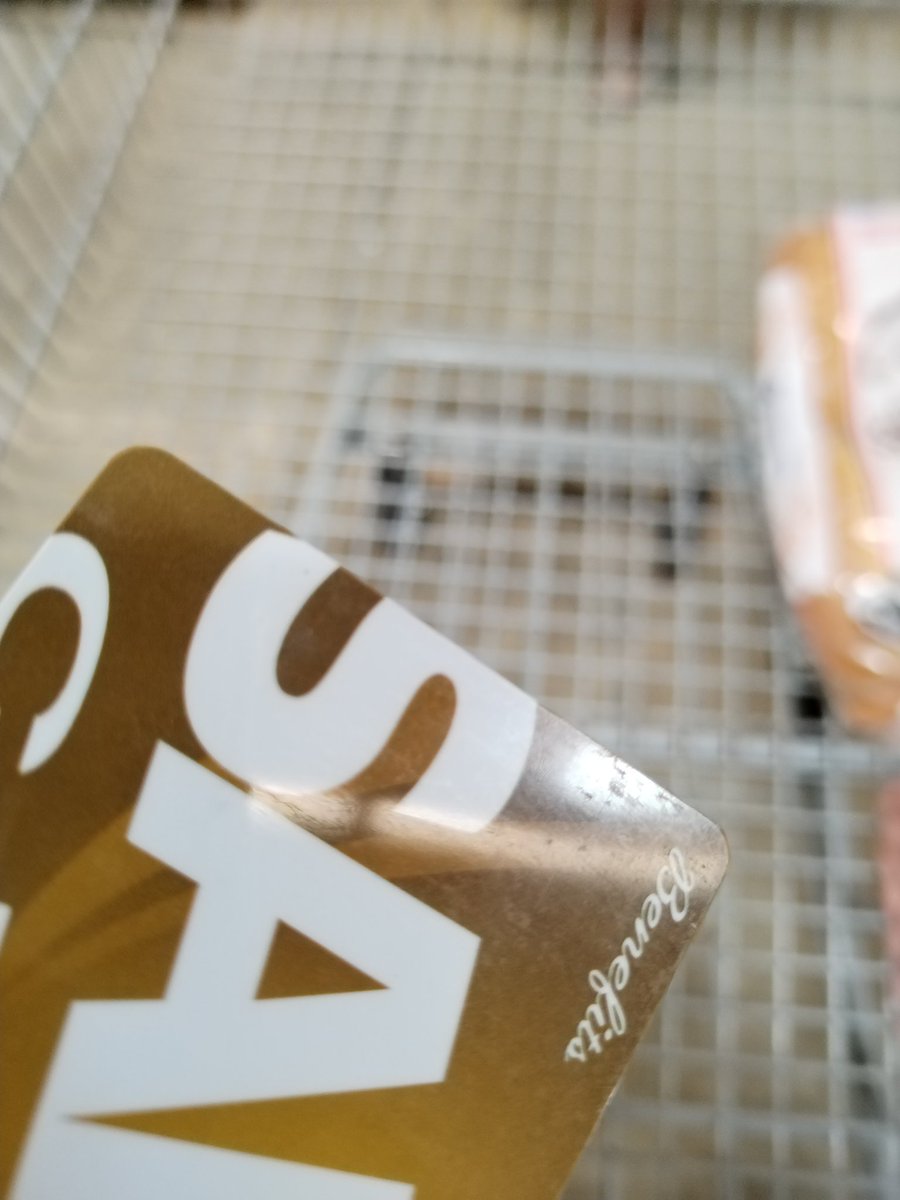 RolandoRS's tweet photo. A toda madre, vale verga la rapidez cuando se ponen a vender la membresía en #sams 10 minutos esperando y no hay forma que acabe de cobrar al de adelante https://t.co/qW2fZ9RT9R