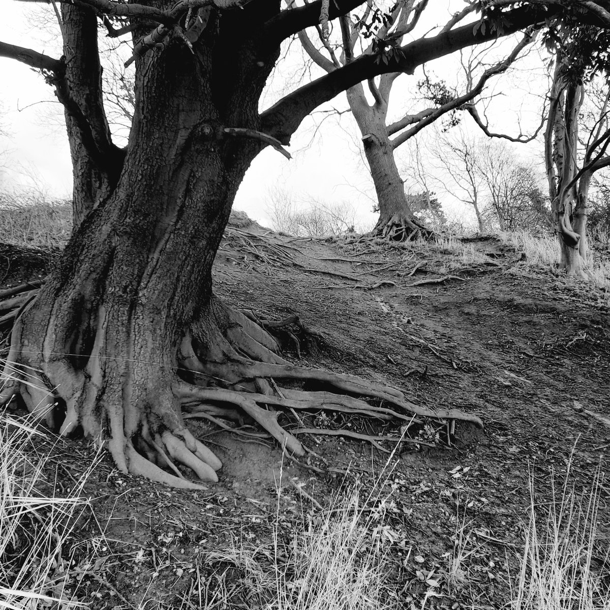 VL70Suffolk's tweet photo. It's black and white in Shotley #suffolk #Sunday #walking #WeekendVibes https://t.co/46h85gLVyL
