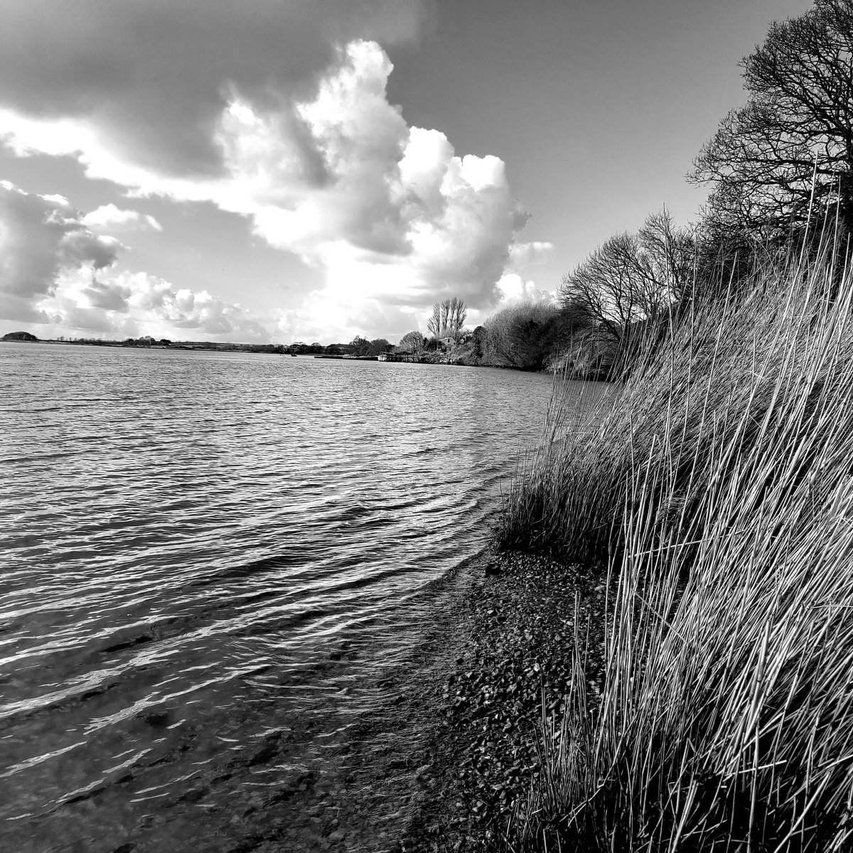 VL70Suffolk's tweet photo. It's black and white in Shotley #suffolk #Sunday #walking #WeekendVibes https://t.co/46h85gLVyL