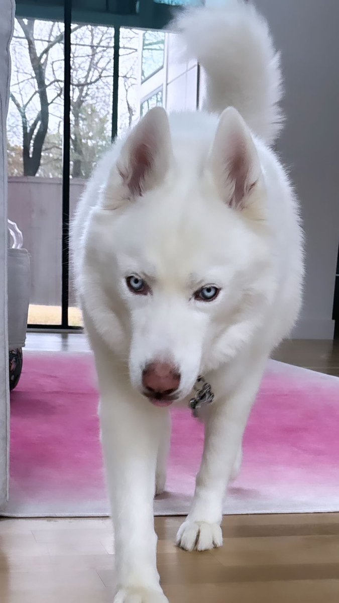 Leah♡Ashe tweet media