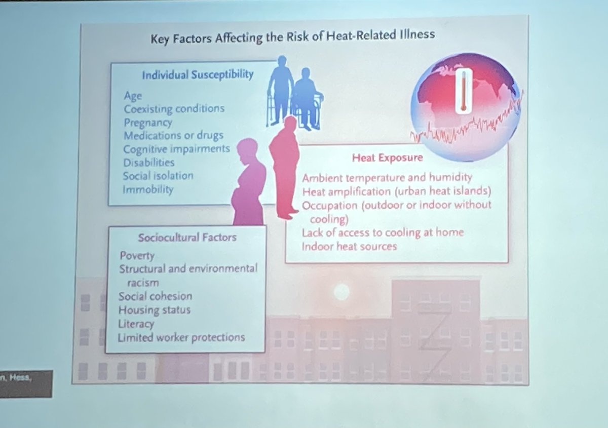 Learning the multiple impacts of climate change on maternal complications for vulnerable populations at the annual meeting of the Medical Consortium on Climate and Health #ClimateHealth2024 @docsforclimate