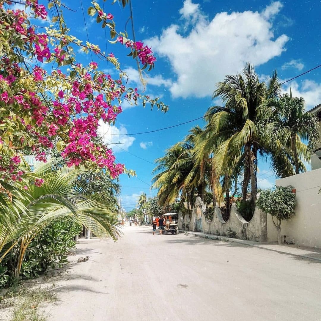 visitacaribemex's tweet photo. Imagina recorrer las pintorescas calles de arena de @VisitHolbox_MX en divertidos carritos de golf.
¡Reserva tu escape ahora y deja que la aventura comience! ✨🌴
📷 IG holboxtourism
#GoQuintanaRoo #México #EncantoLocal #Explorando #Arquitectura @GoQuintanaRoo https://t.co/vLZ10Zye4s