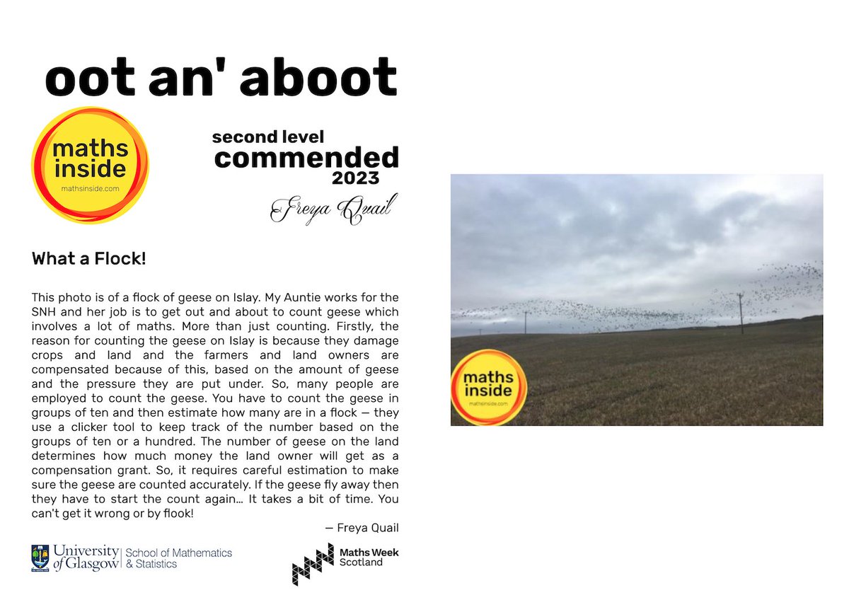 mathsinside's tweet image. *What a Flock!* — Freya Quail (P6) @BowmorePrimary — Second Level Commended Entry 📸🎉 

@mathsinside #mathsinside #mathsinsideInMotion #maths #PhotoContest #MathsWeekScot @UofGlasgow @UofGMaths_Stats @mathsweekscot @tentivetodetail