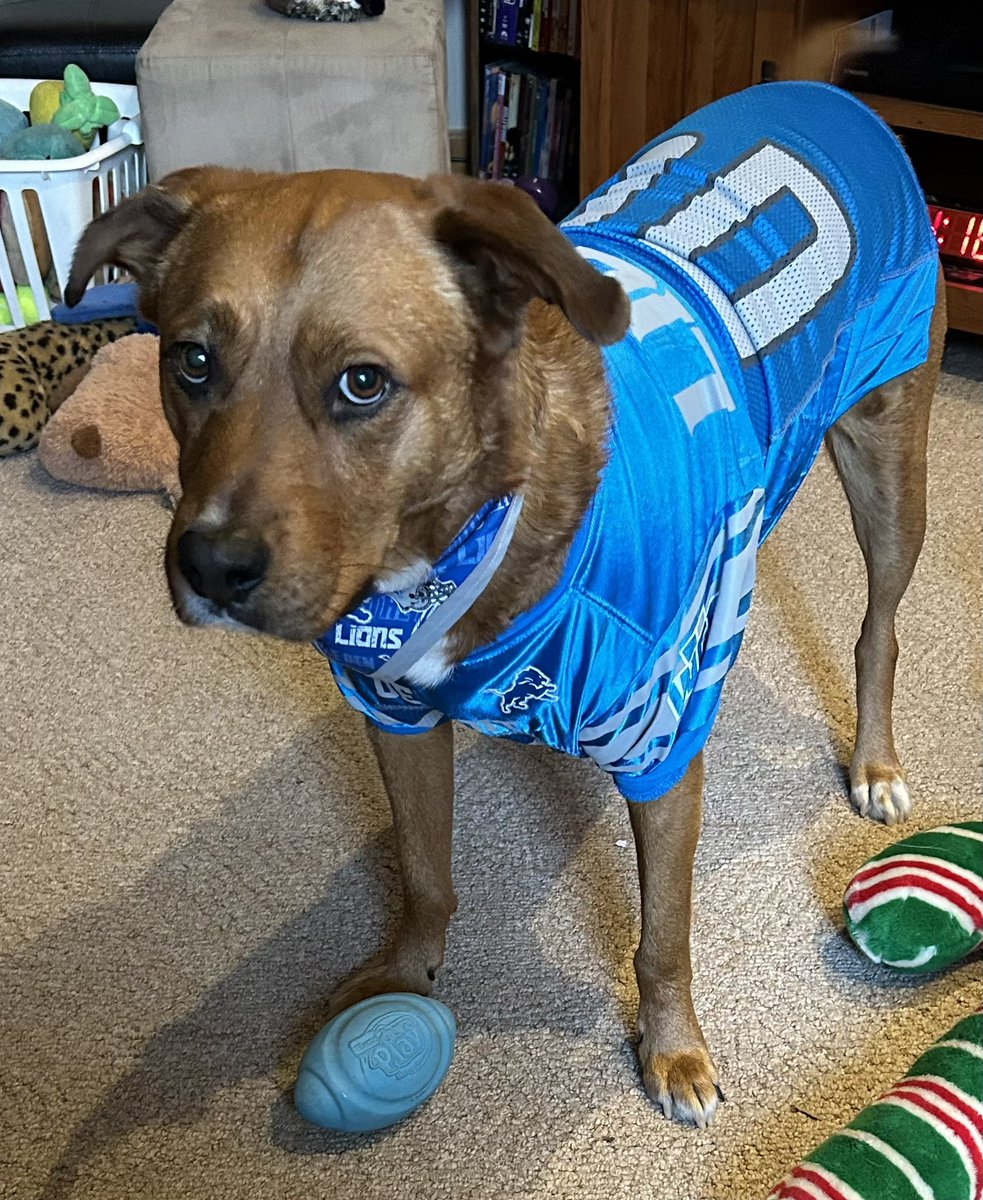 JournoDog's tweet photo. Watching the 20th #Puppybowl for 2034, even though beloved #DetroitLions aren’t in hooman 🏈 game. #journodog https://t.co/6frq55S2pI