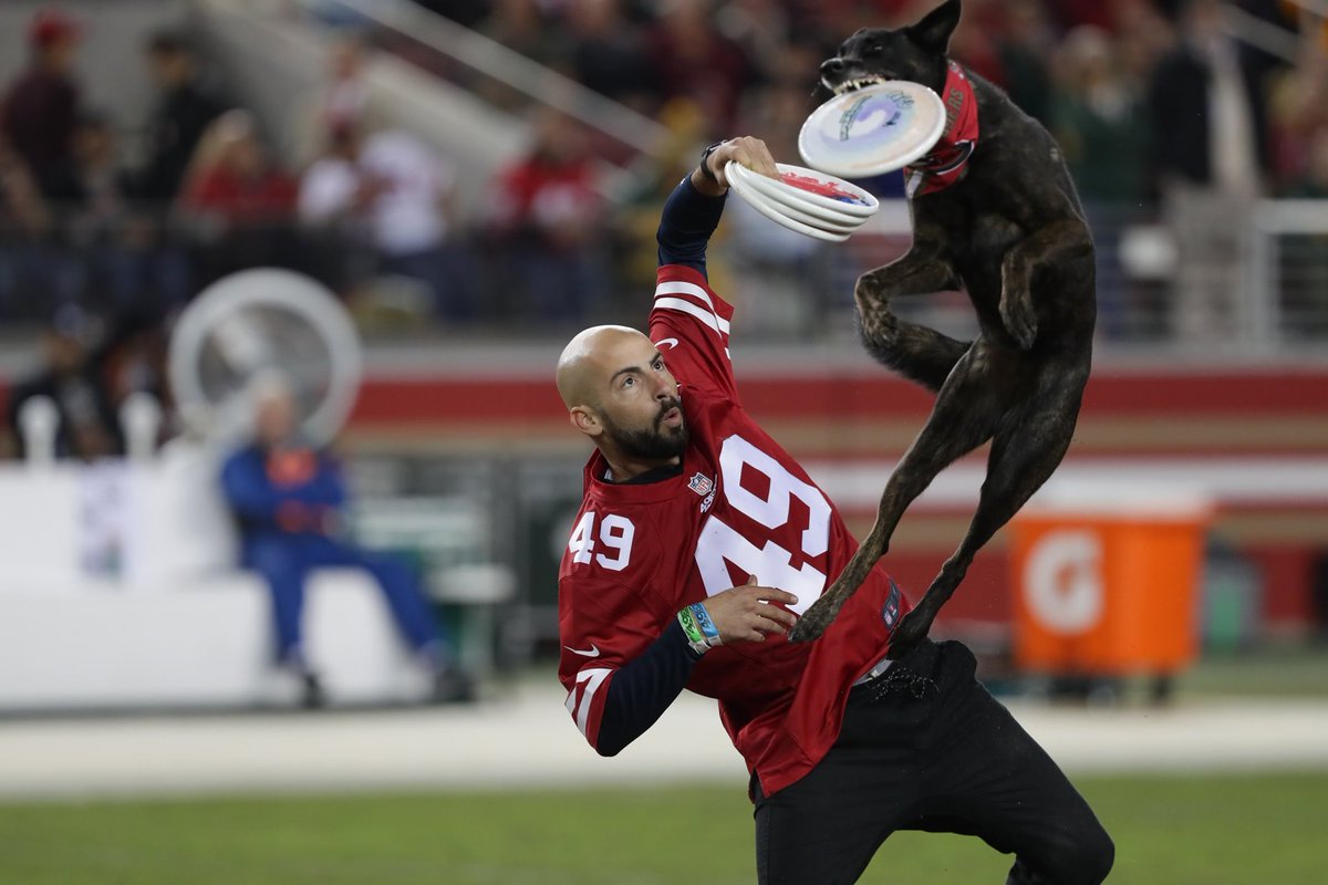 Extreme Dogs Stunt Dog Show tweet media