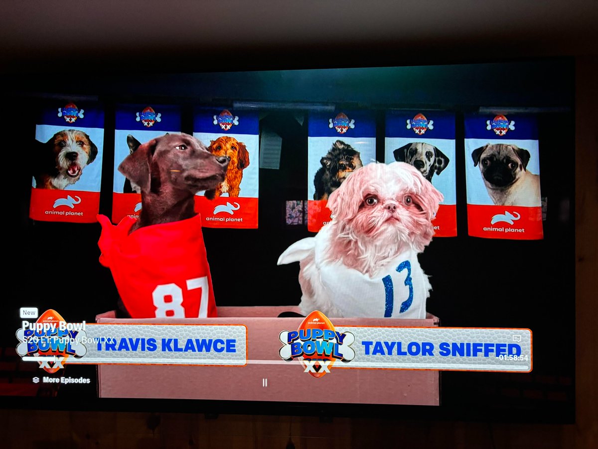 Colin Campbell (@colincampbell) on Twitter photo 