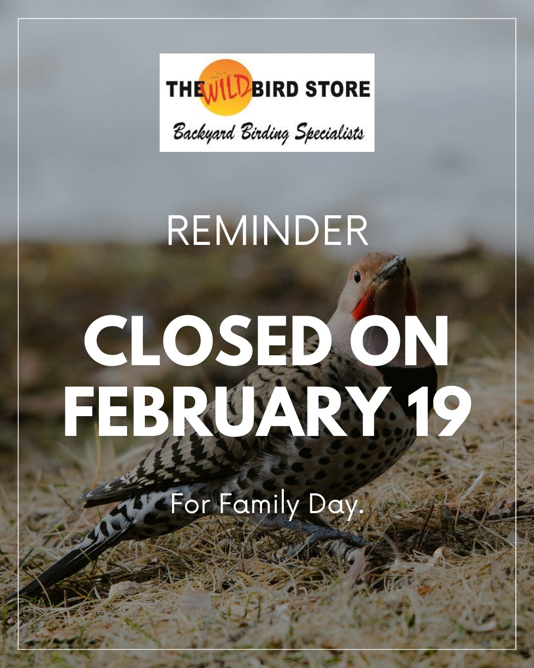 Birding stores top