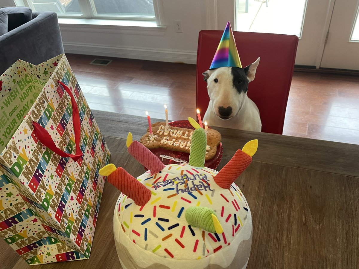 Erin O'Neill-Hayes tweet media