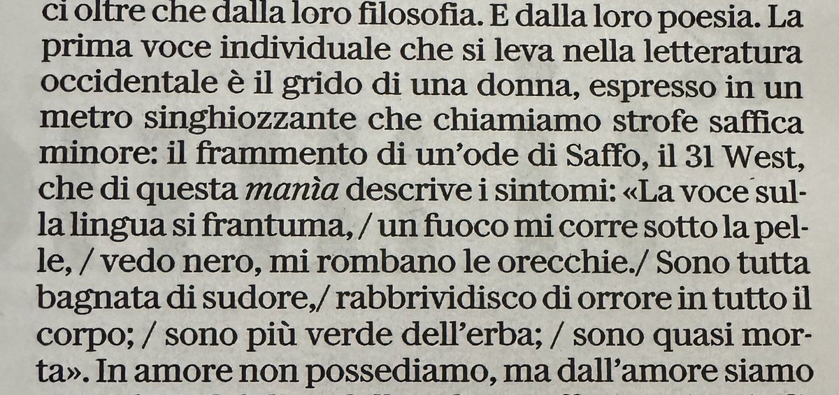 Saffo 🖤