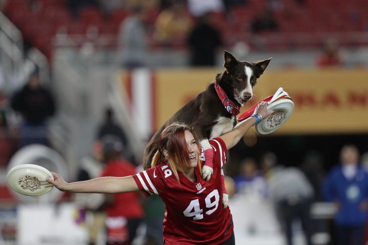 Freddy Fusion tweet media