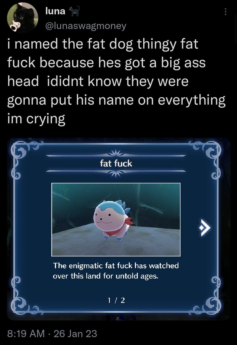 fife_emblem's tweet photo. Literally nothing can make me laugh harder https://t.co/6E56ZcDJ0h
