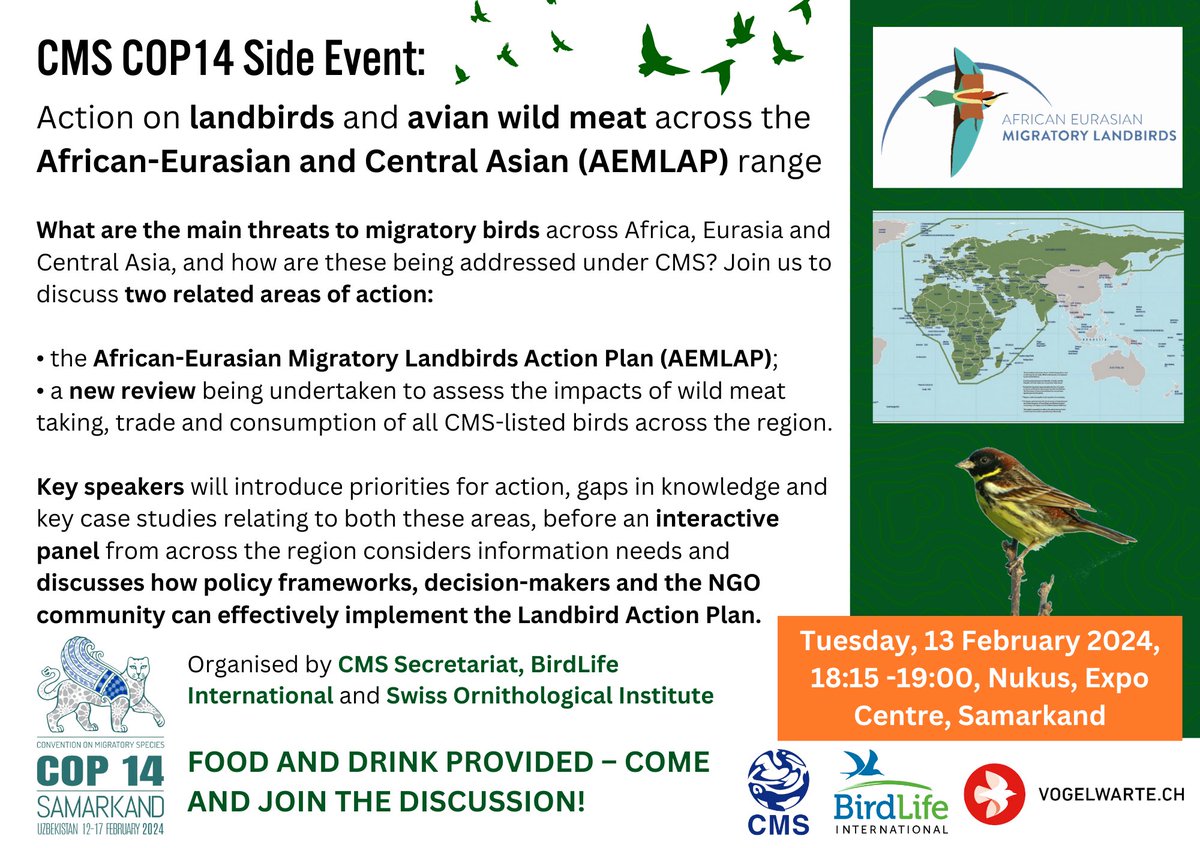 Noelle Kumpel tweet media