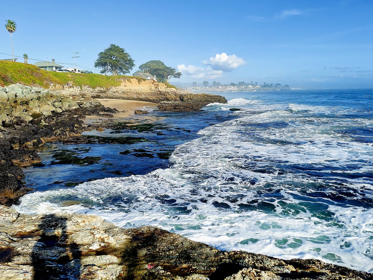 Incredibly excited to be part of the organizing team of upcoming Santa Cruz Developmental Biology Meeting #scdb24.  The redwood groves and coastal atmosphere of <a href="/ucsc/">UC Santa Cruz</a> campus offers a beautiful setting for scientific interactions.