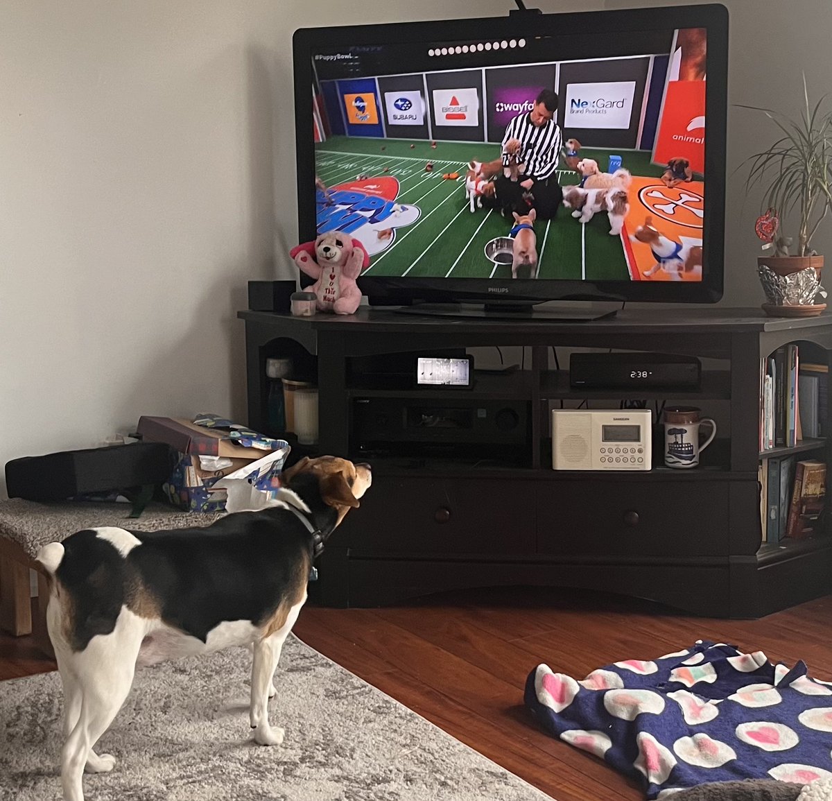 Gregory Pond tweet media