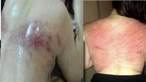 sheriran95's tweet photo. #FreeIran2024
#IranRevolution : Mullahโs response to any voice of opposition in #Iran = #torture& #Execution #All4Freedom
#IranProtests2023
#No2ShahNo2Mullahs
#StopExecutionsInIran https://t.co/kbi6W24DTk