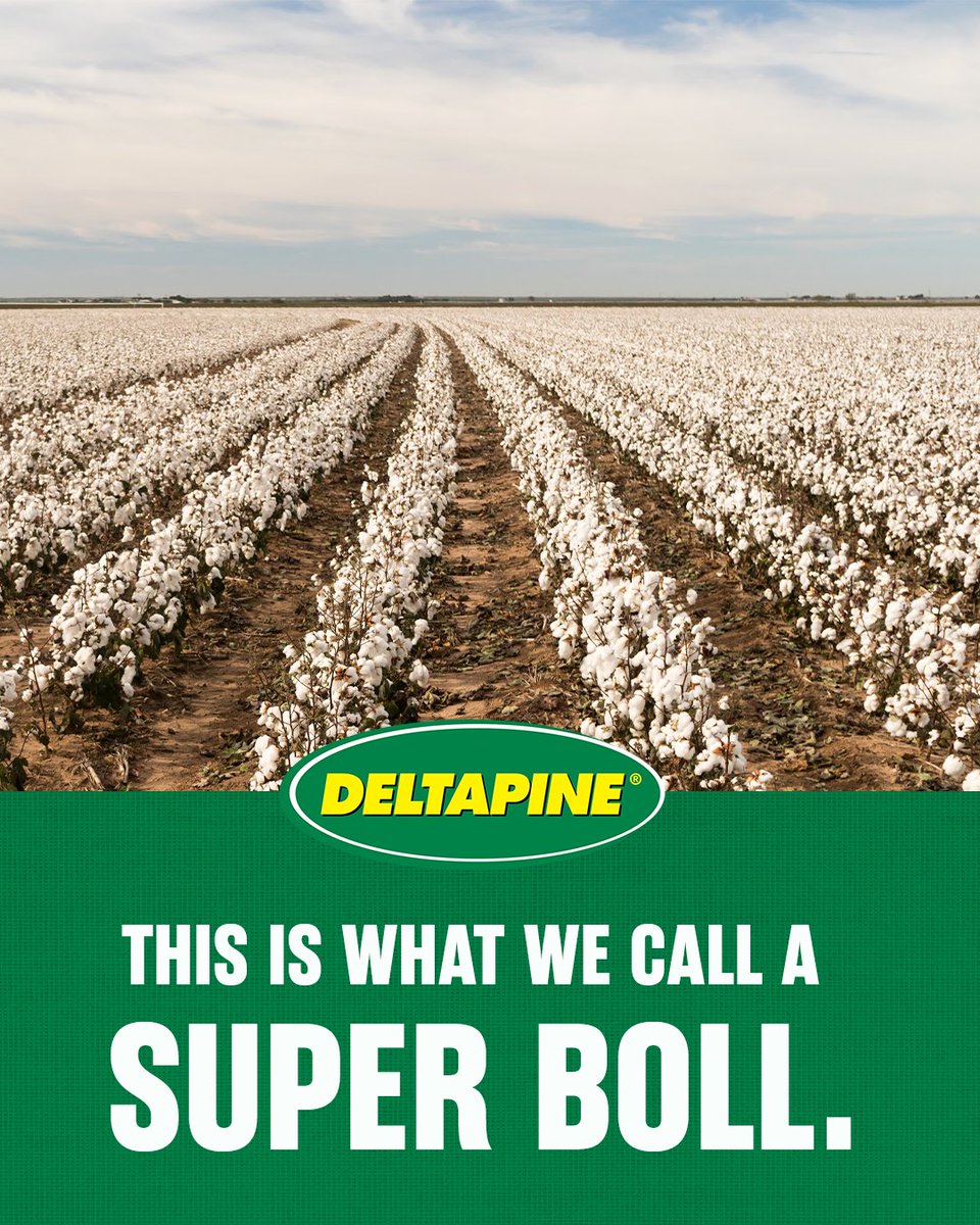 DELTAPINE's tweet photo. Just like the players, you know how important performance is out on the field. Enjoy the Big Game! 🏈 #StrongCotton #Deltapine #Harvest23 https://t.co/9cDaHQVn15