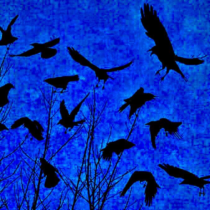 @quyenHuynhG @LeaHaller55 @ItsKingResist @TonyHQ1985 @BlueStormComin1 @007resister @CokoGay @bluhue123 @Gdad1 @Wisewonders A group of Magpies is called;
A Congregation

A group of Herons is called;
A Siege

A group of Hawks is called;
A Cast

A group of Ravens is called;
An Unkindness

A group of Crows is called;
A Murder

A group of Republicans is called;
A Treason

#ItsFuckingTreason