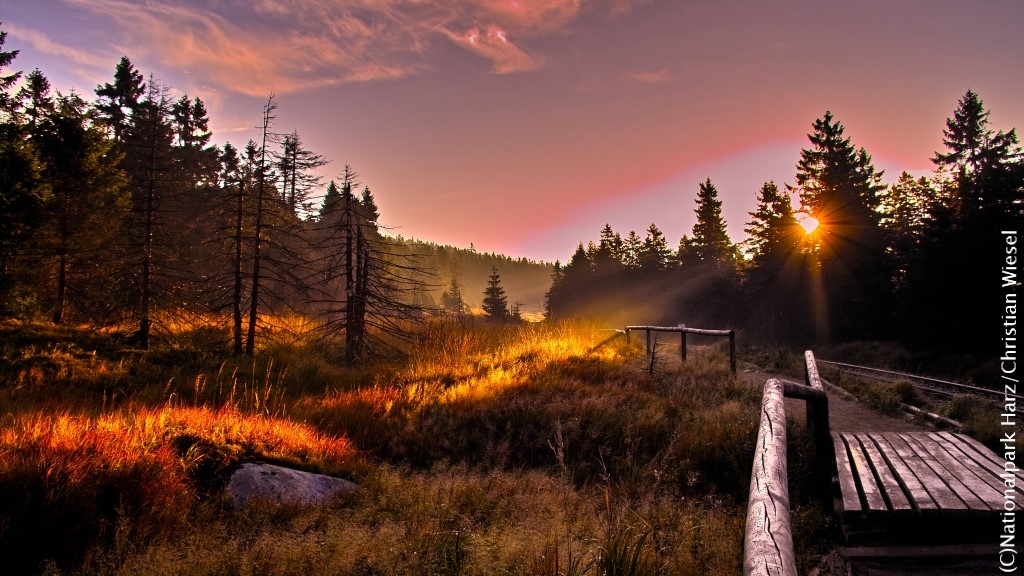 GermanyTravelJP's tweet image. 幻想的で神秘的な地方ハルツ。湿原や滝、深い峡谷と森や奇岩。
昔からハルツの自然は人々の想像力を刺激し、多くのおとぎ話や神話が生まれてきました。
あなたも童話の主役となって、旅をしてみませんか？
1:Goetheweg
2:Langenstein
3:Thale Halde
4:Braunlage Oderteich
#GermanySimplyInspiring