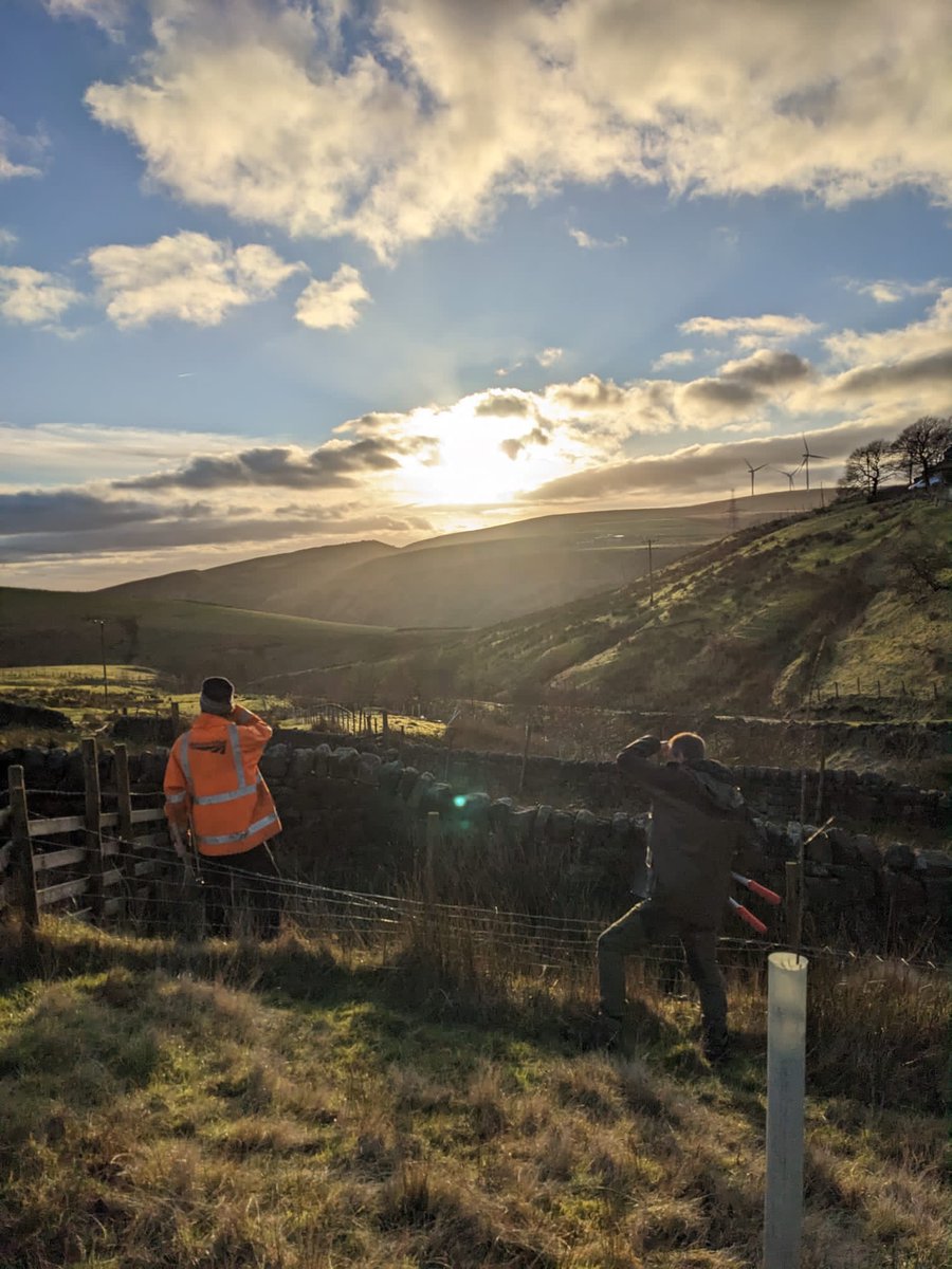 forus_tree's tweet photo. Willow coppiced and made into 80 metres of fascines in preparation to be used for erosion control for another site we'll be working on next week. Luckily lovely landowners have given us permission to coppice hazel on their land for stakes to secure the fascines in place #Fascines https://t.co/uPmkvGXFjW